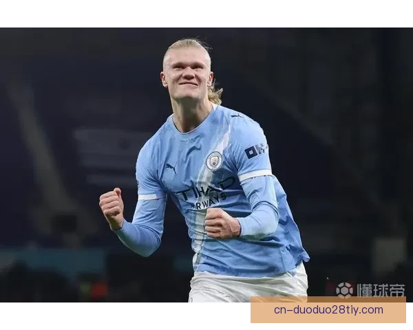 英超25轮候选帕尔默哈兰德